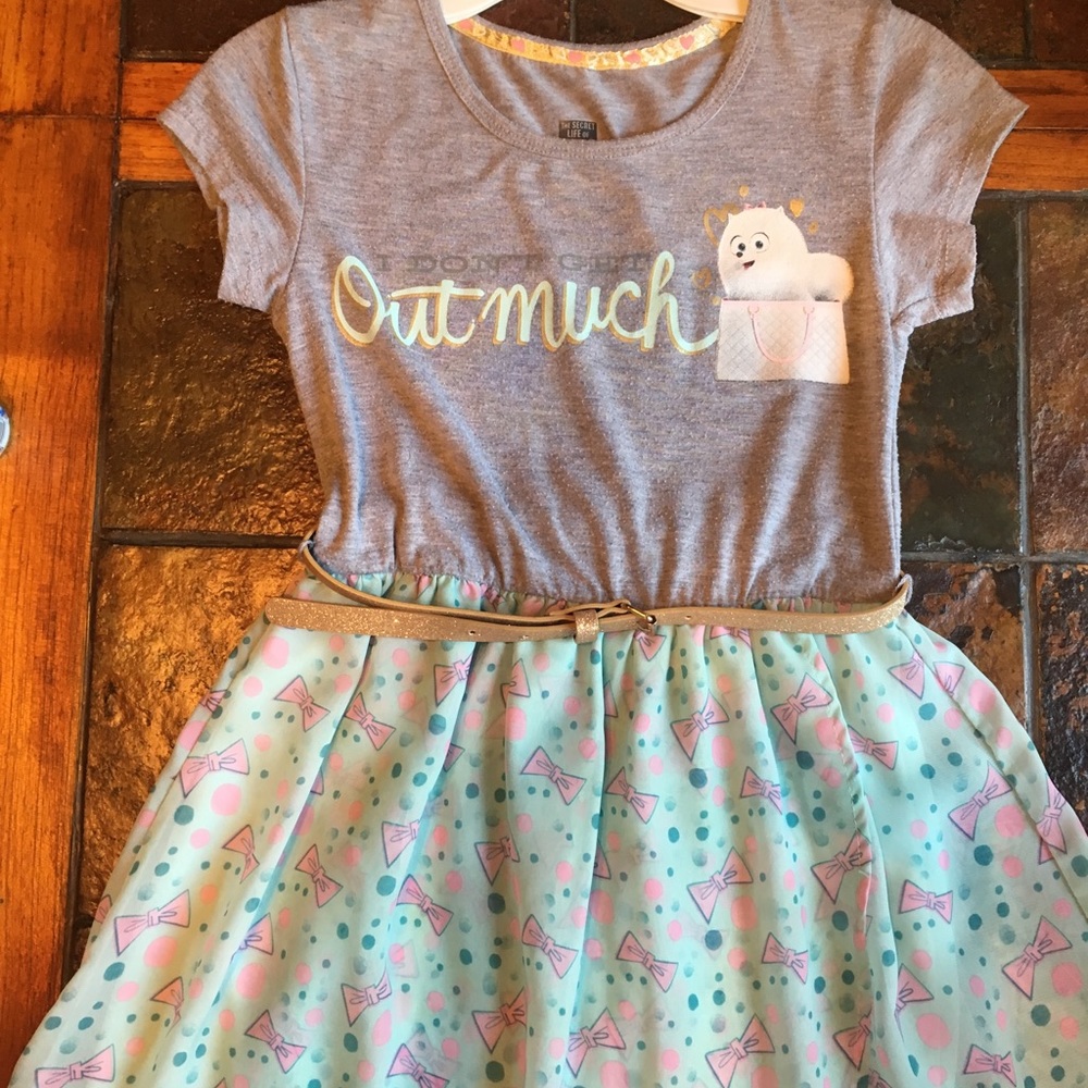 Secret Life of Pets girls dress